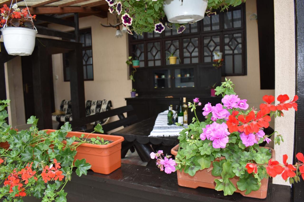 沃拉内特Clematis House别墅 外观 照片