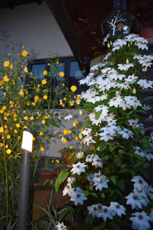 沃拉内特Clematis House别墅 外观 照片