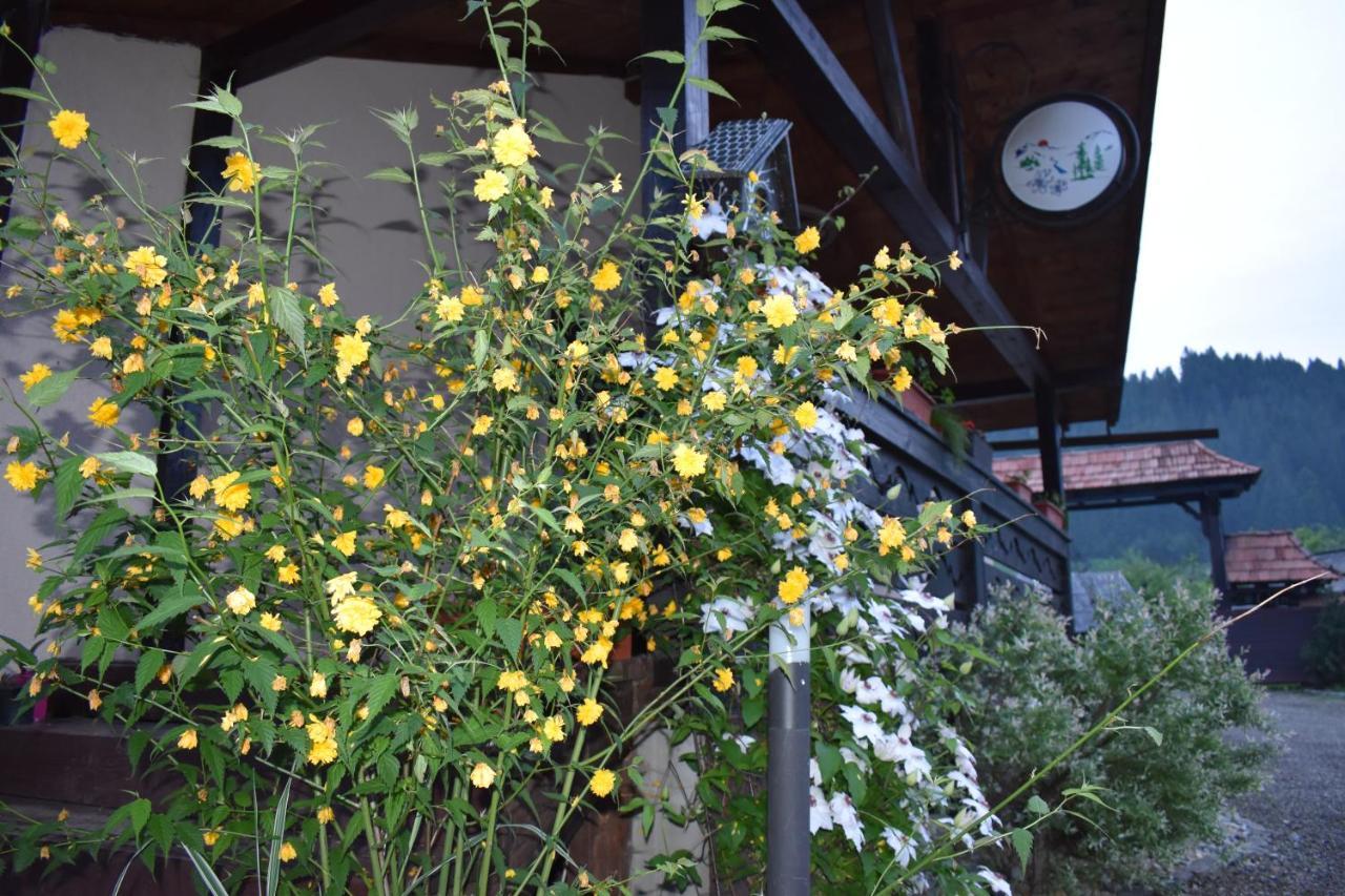沃拉内特Clematis House别墅 外观 照片
