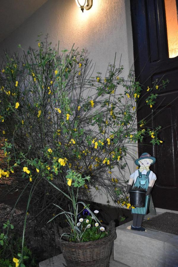 沃拉内特Clematis House别墅 外观 照片