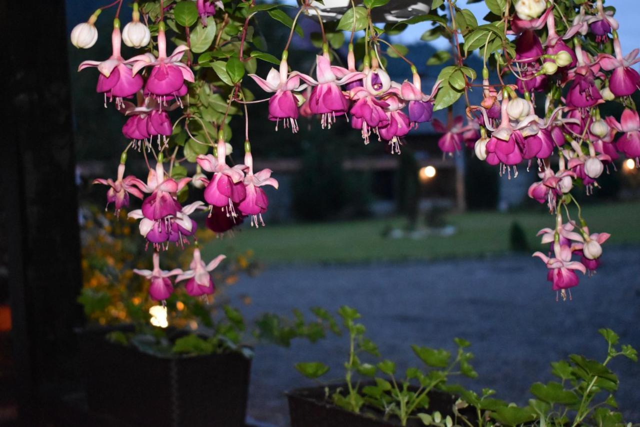 沃拉内特Clematis House别墅 外观 照片